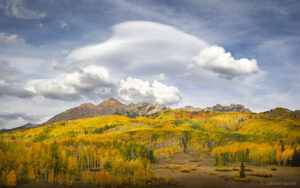 Colorado Aspens, Crested Butte