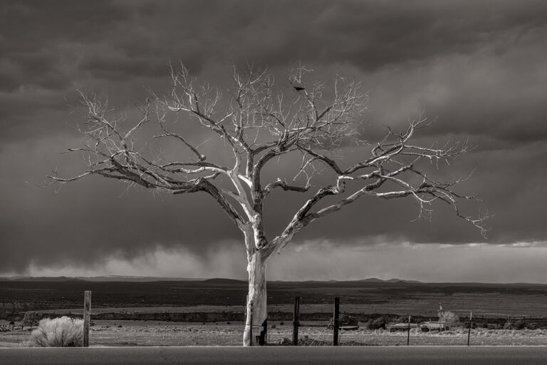 Lone Tree, Taos Overlook