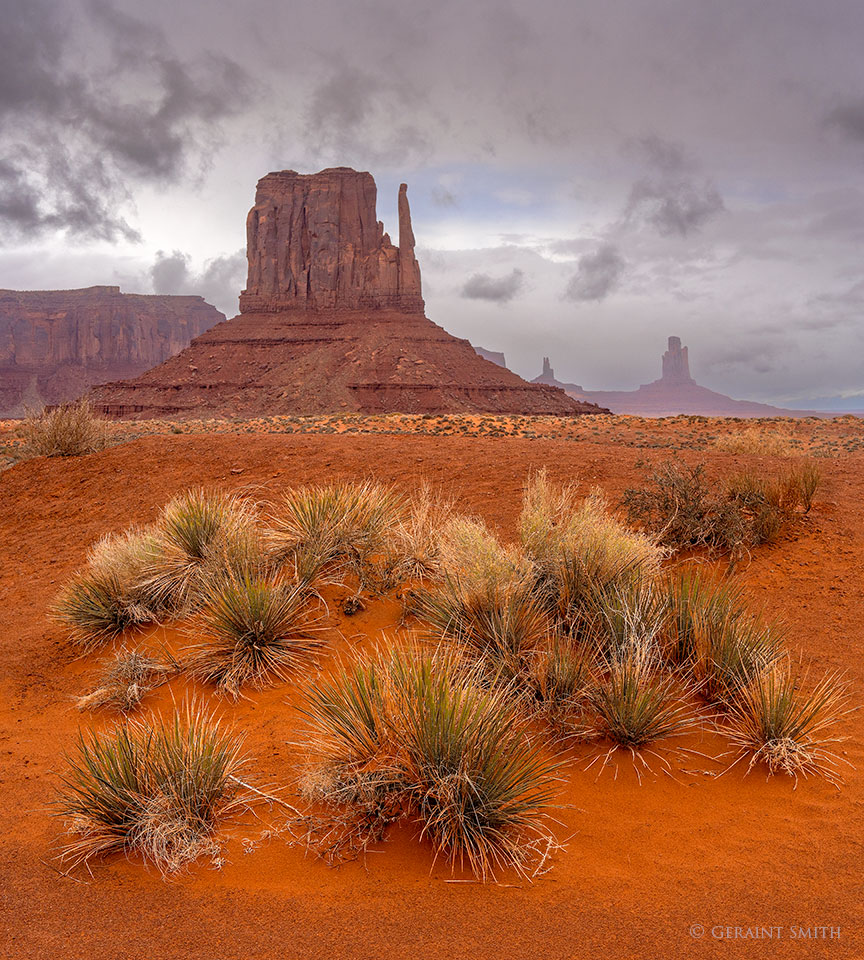 Monument Valley Mitten with yucca plants