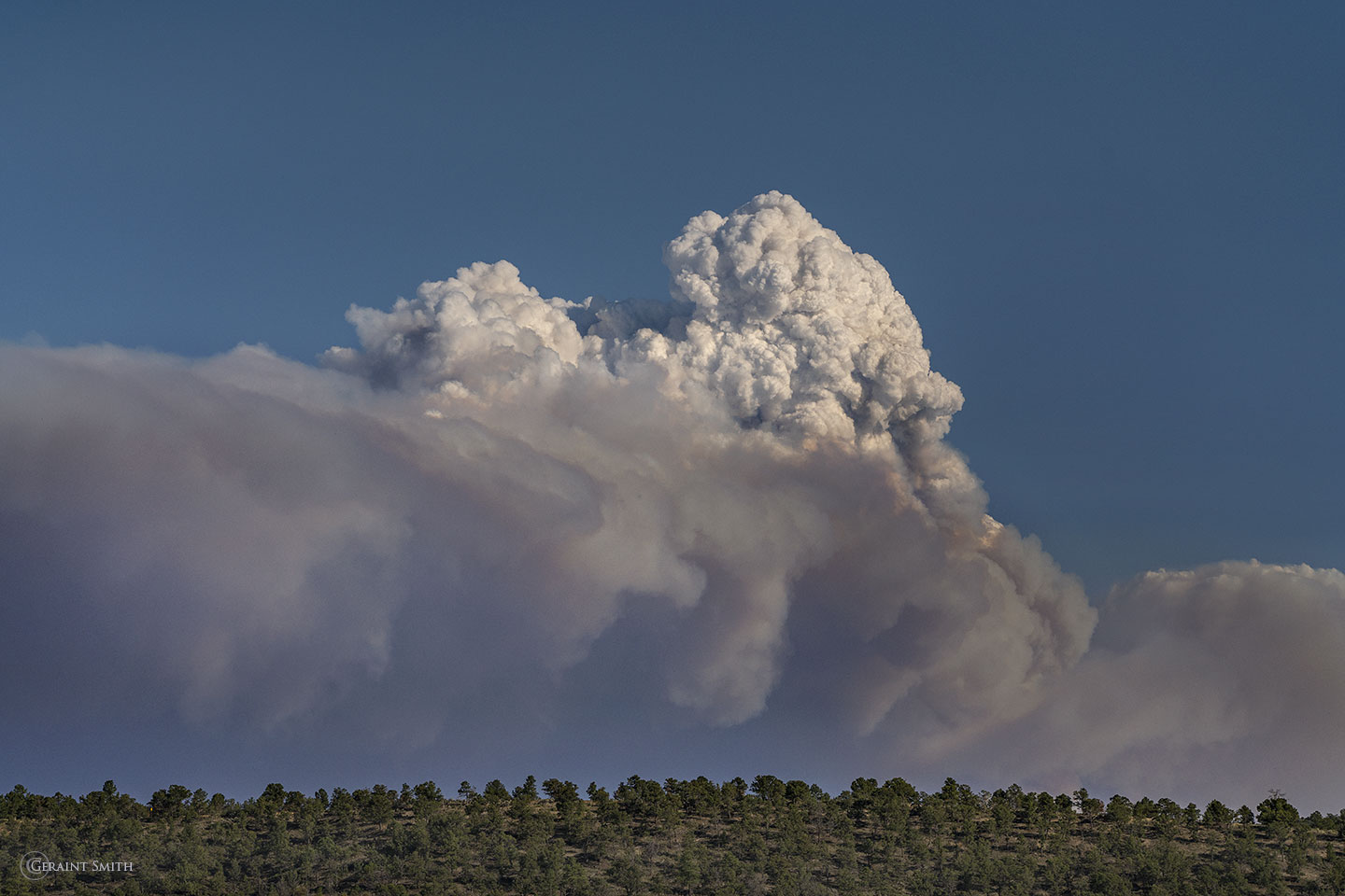 Calf Canyon, Hermits Peak fire in New Mexico