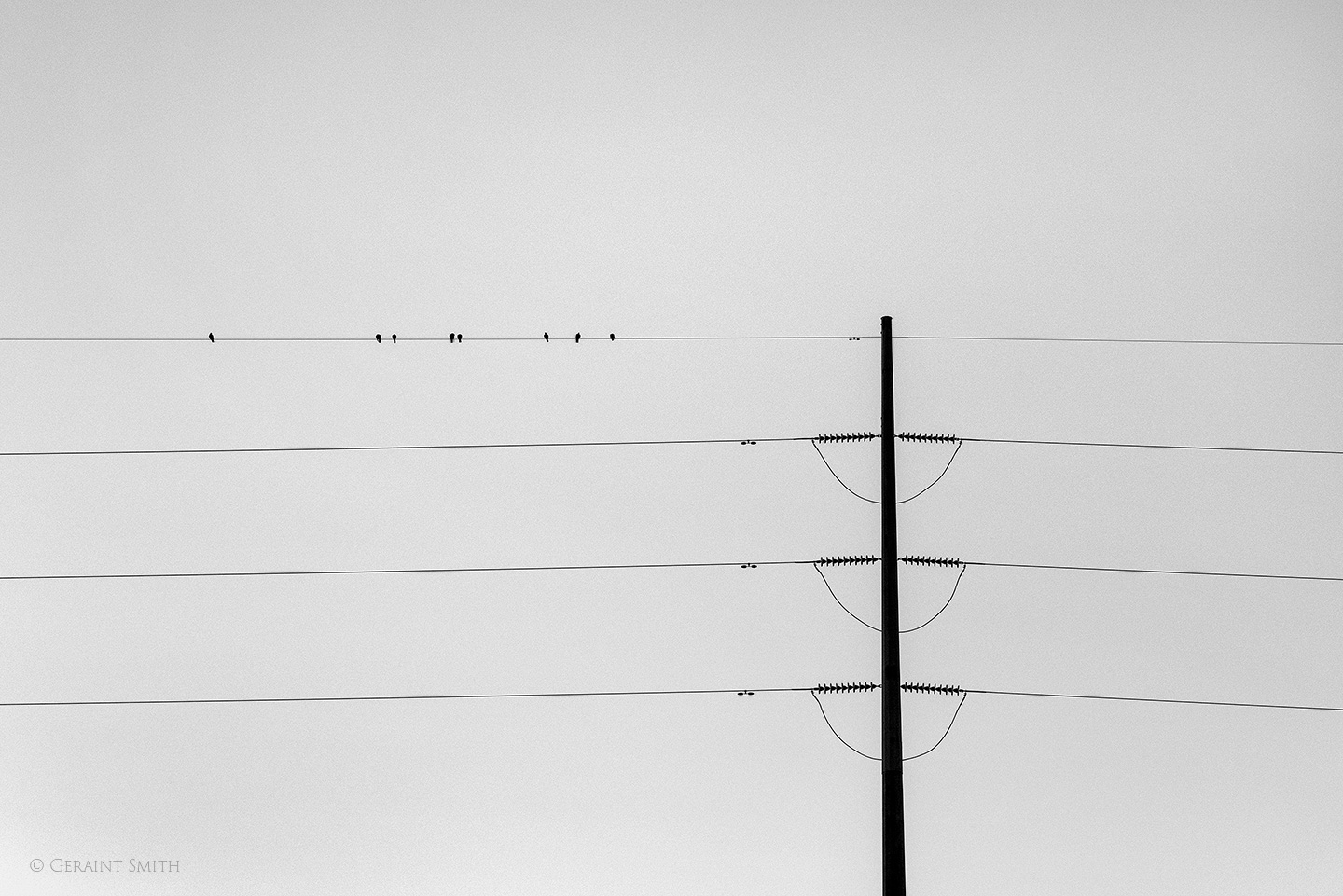 Birds on a wire, Santa Fe
