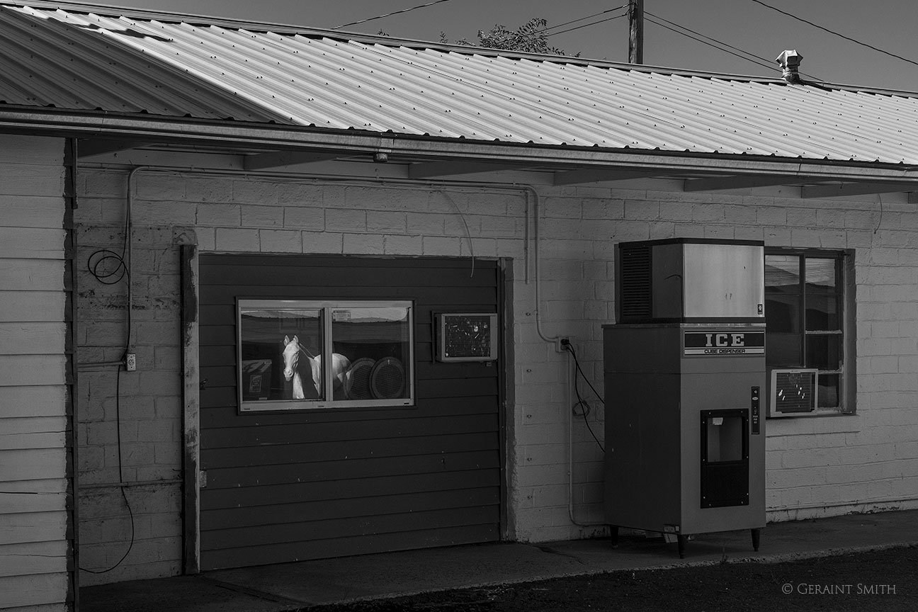 Pony reflection Colt Motel