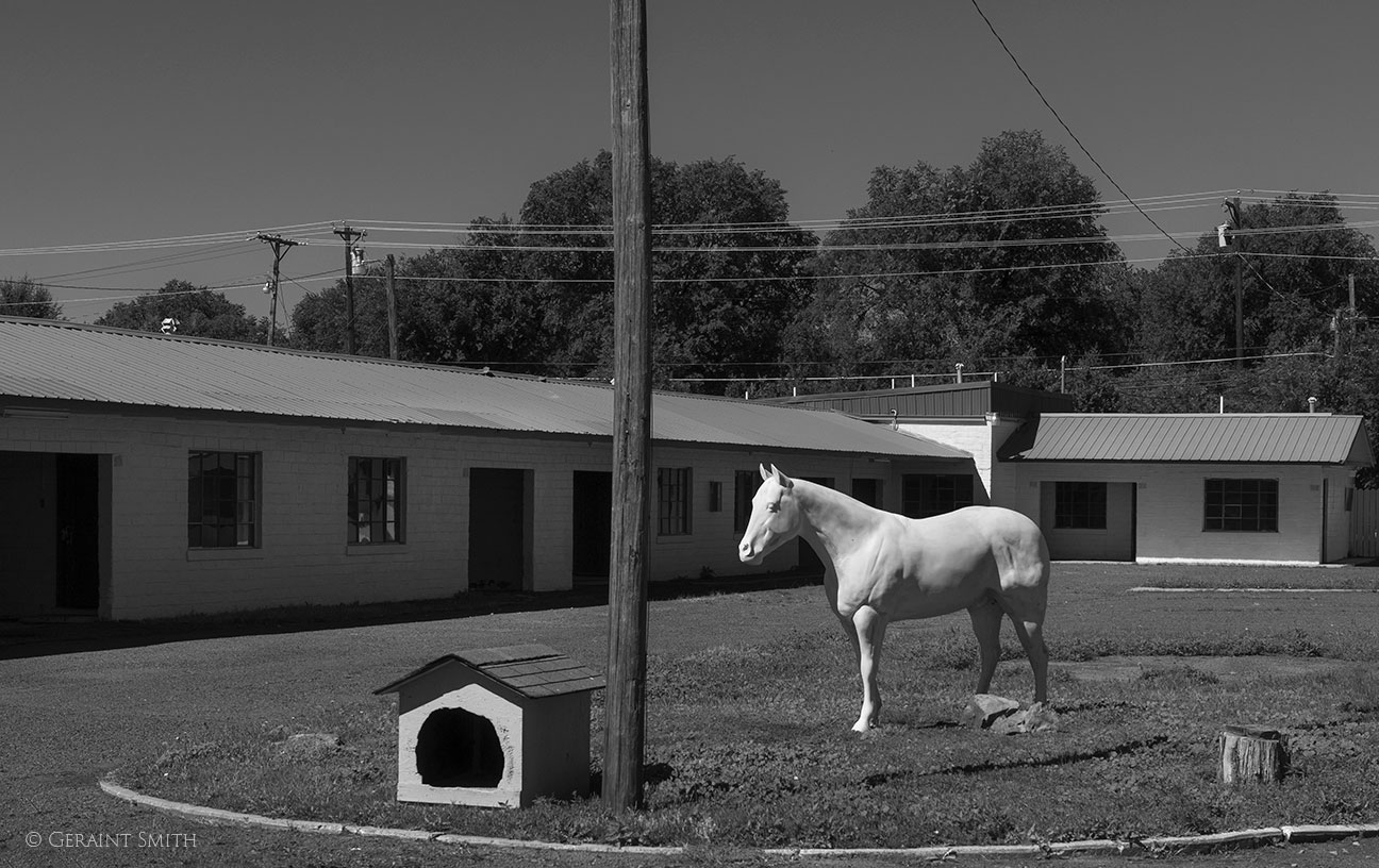 Dog and Pony, Colt Motel