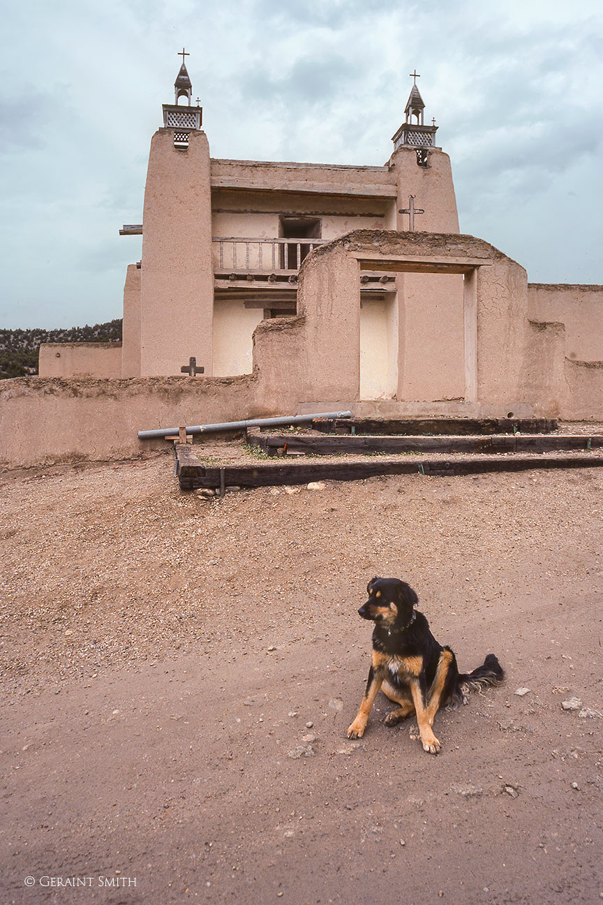 Las Trampas church dog, 1984