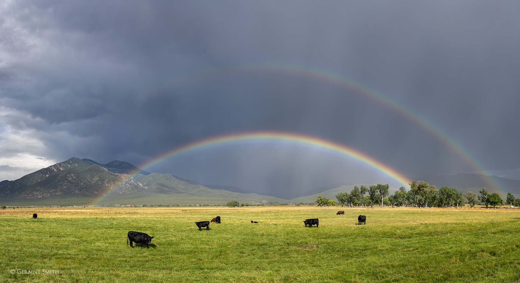 Rainbows with cattle in El Prado, Taos