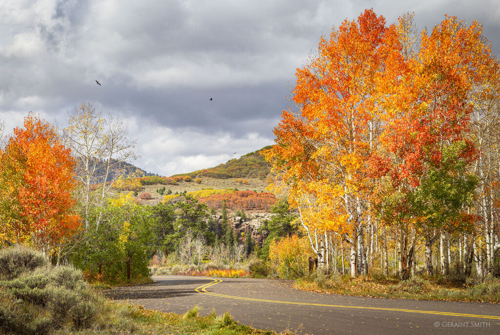 Autumn, road in Colorado