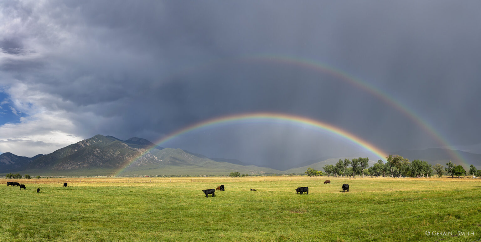 el prado rainbow cattle 5537 5544