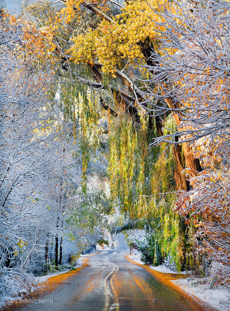 Early snow, Taos