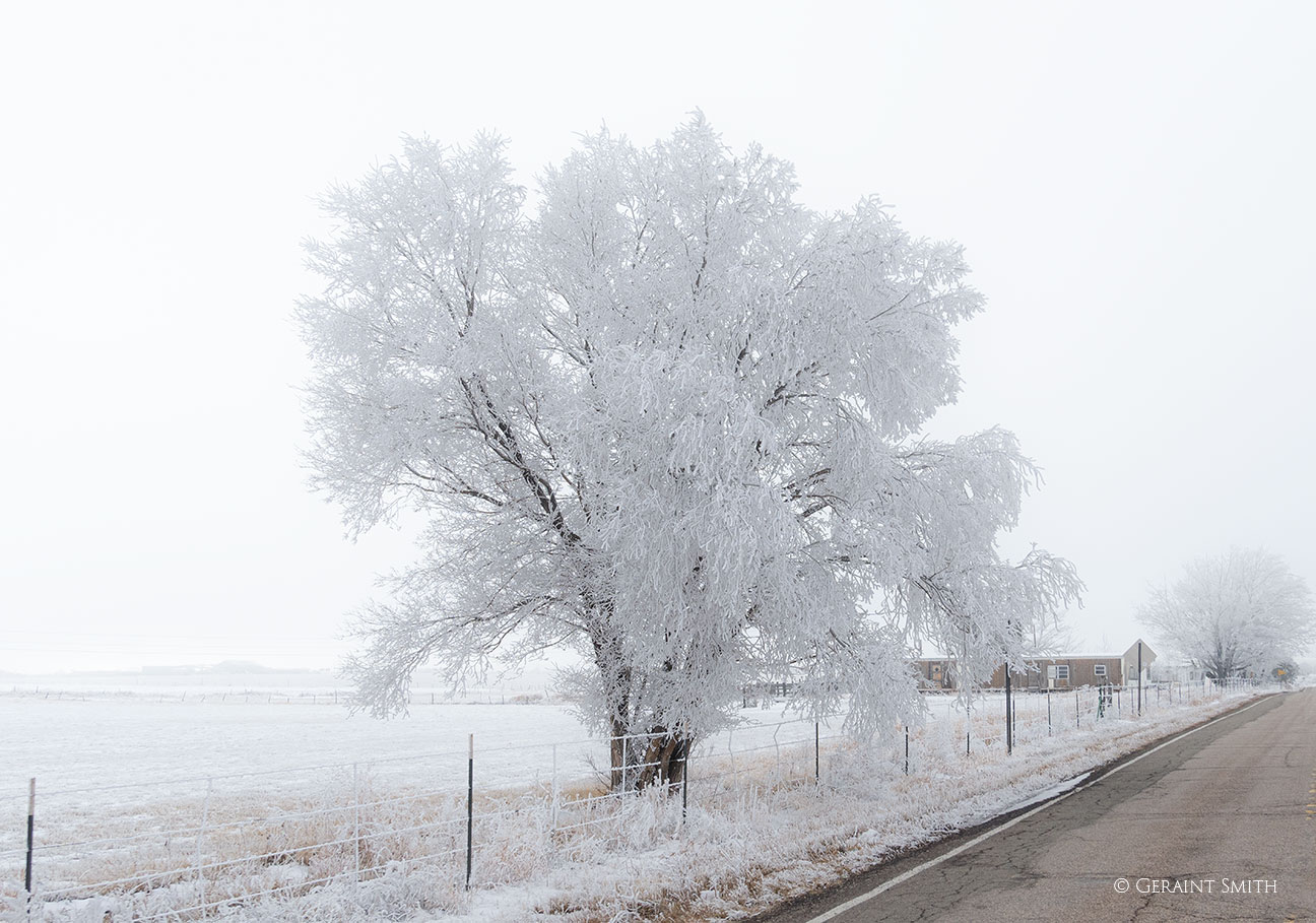 Hoar frost, winter in northern New Mexico