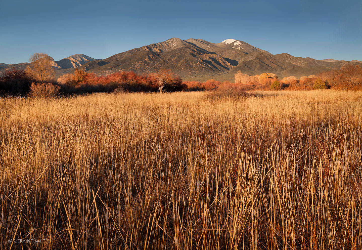 Pueblo Peak, Taos Mountain meadow
