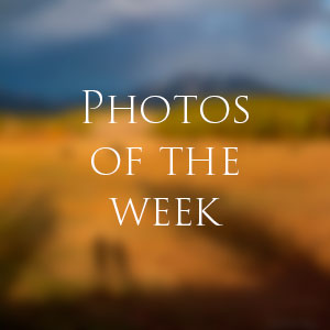 Link to Photos of the Week