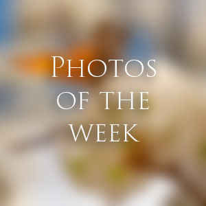 Link to Photos of the Week