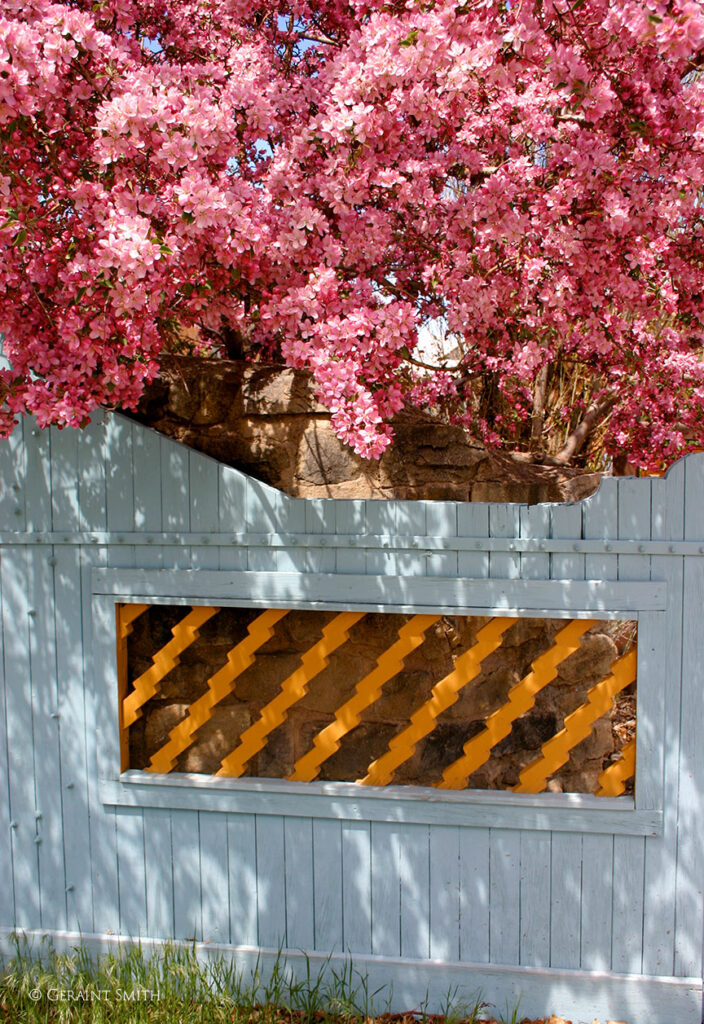 Gate and blossoms Kit Carson Road, Taos