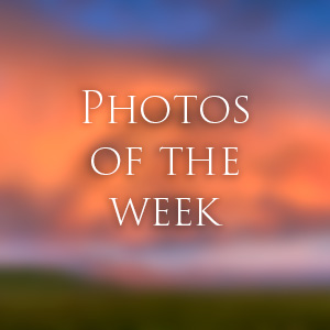 Link to Photos of the Week