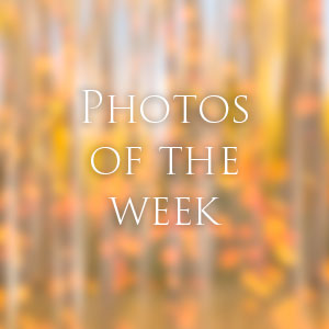 Link to Photos of the Week