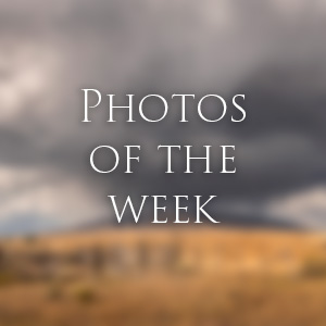 Link to Photos of the Week