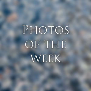 Link to Photos of the Week