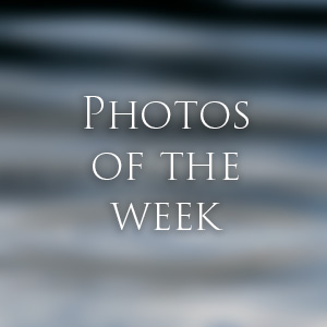 Link to Photos of the Week