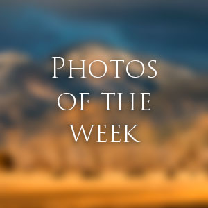 Link to Photos of the Week