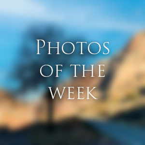 Link to Photos of the Week