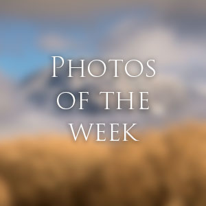 Link to Photos of the Week