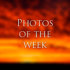 Link to Photos of the Week