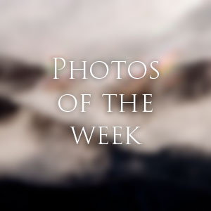 Link to Photos of the Week