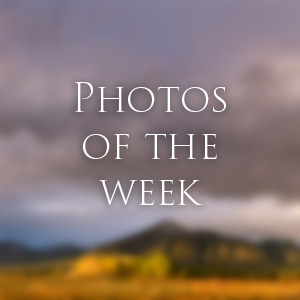 Link to Photos of the Week