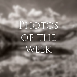 Link to Photos of the Week