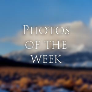 Link to Photos of the Week