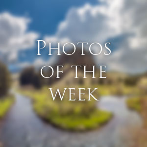 Link to Photos of the Week
