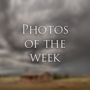 Link to Photos of the Week