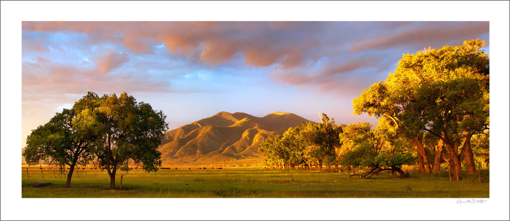 Print of the week, Taos Mountain Trees