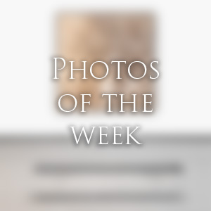 Link to Photos of the Week