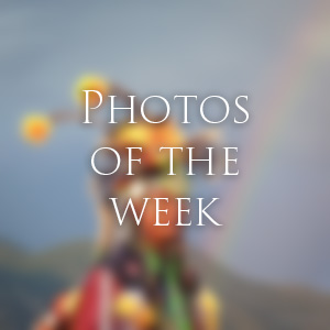 Link to Photos of the Week
