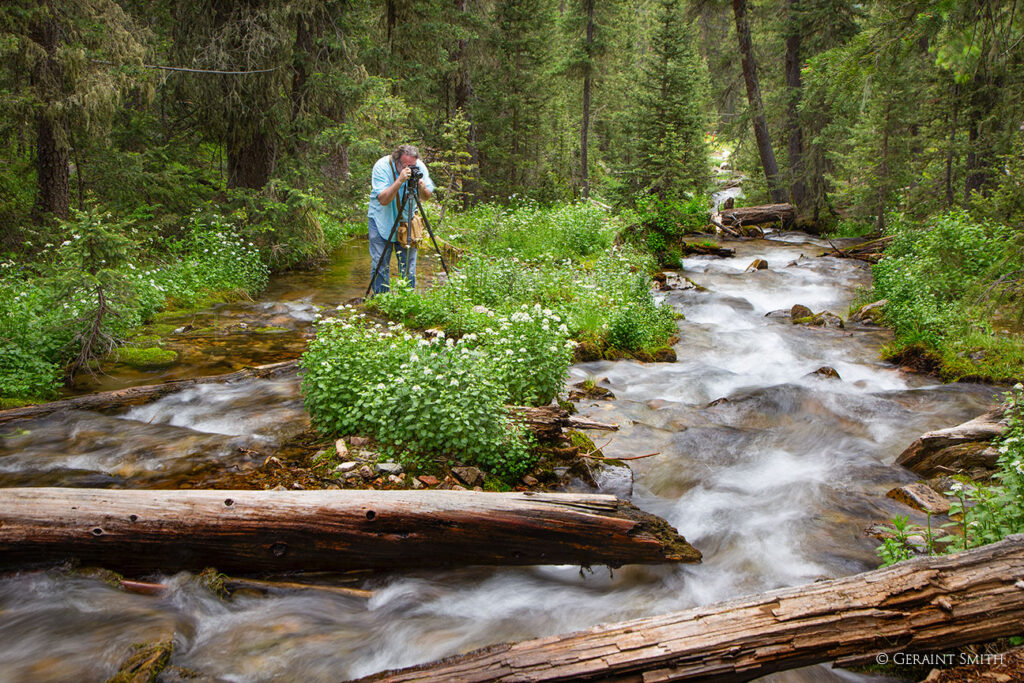 Photographing wildflowers in the creek at Taos Ski Valley