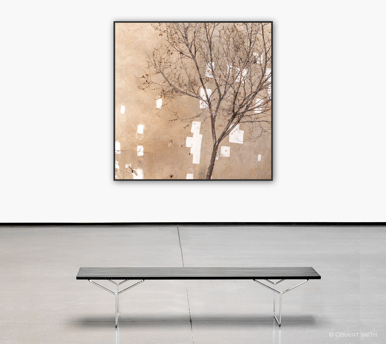 Photos of the Week gallery wall - "another interpretation".