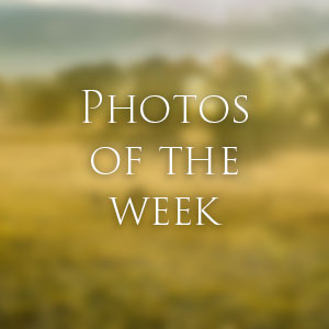 Link to Photos of the Week