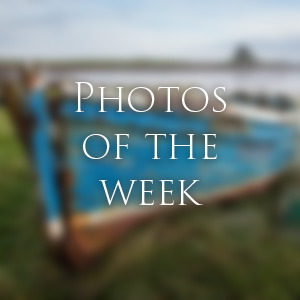 Link to Photos of the Week