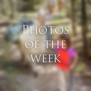 Link to Photos of the Week