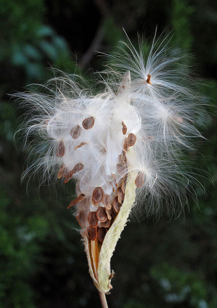 Opening pod