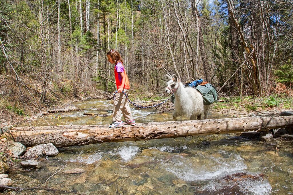 Crossing the creek, Columbine Canyon, NM