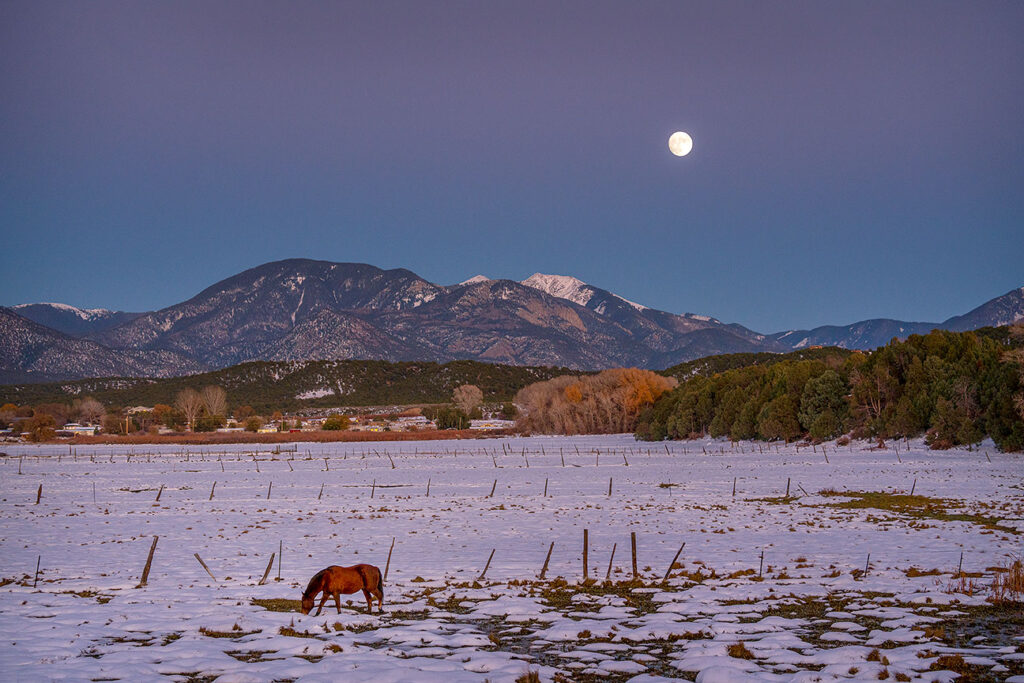Moonrise with horse