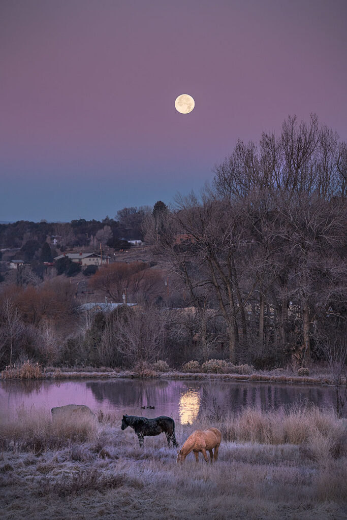 Arroyo Hondo Pond and horses. Show time in Taos