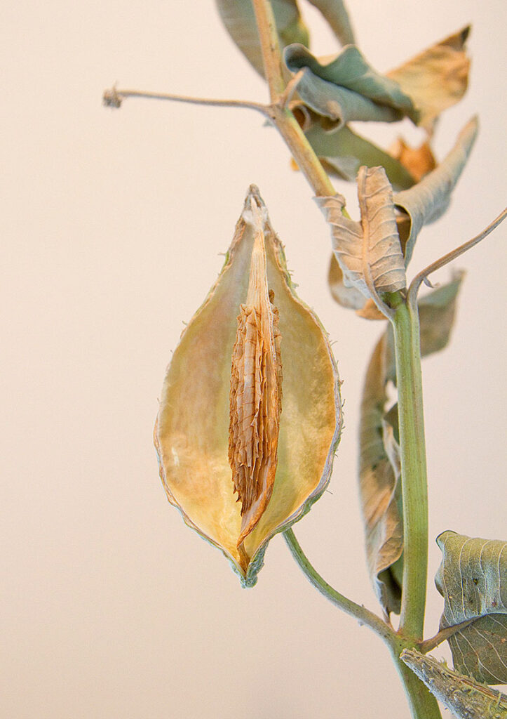 Empty Pod