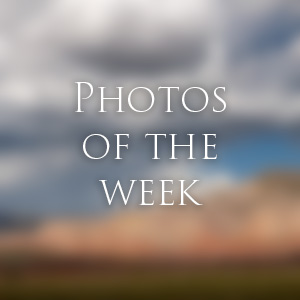 Link to Photos of the Week