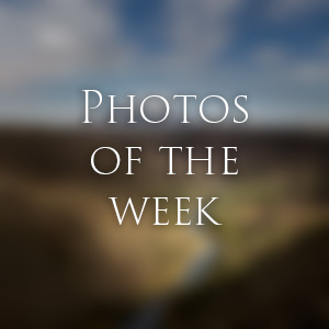 Link to Photos of the Week
