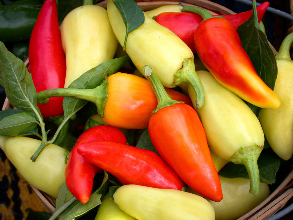 Chiles