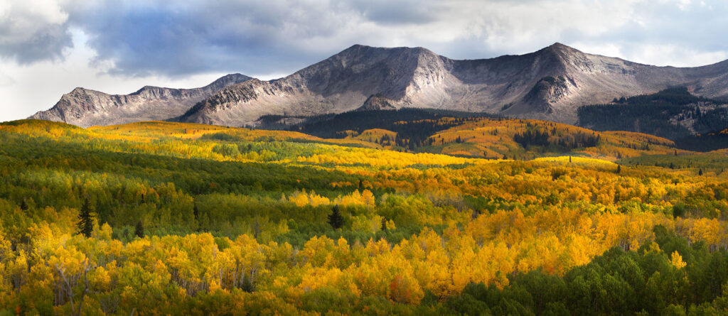 Aspens and peaks, Colorado