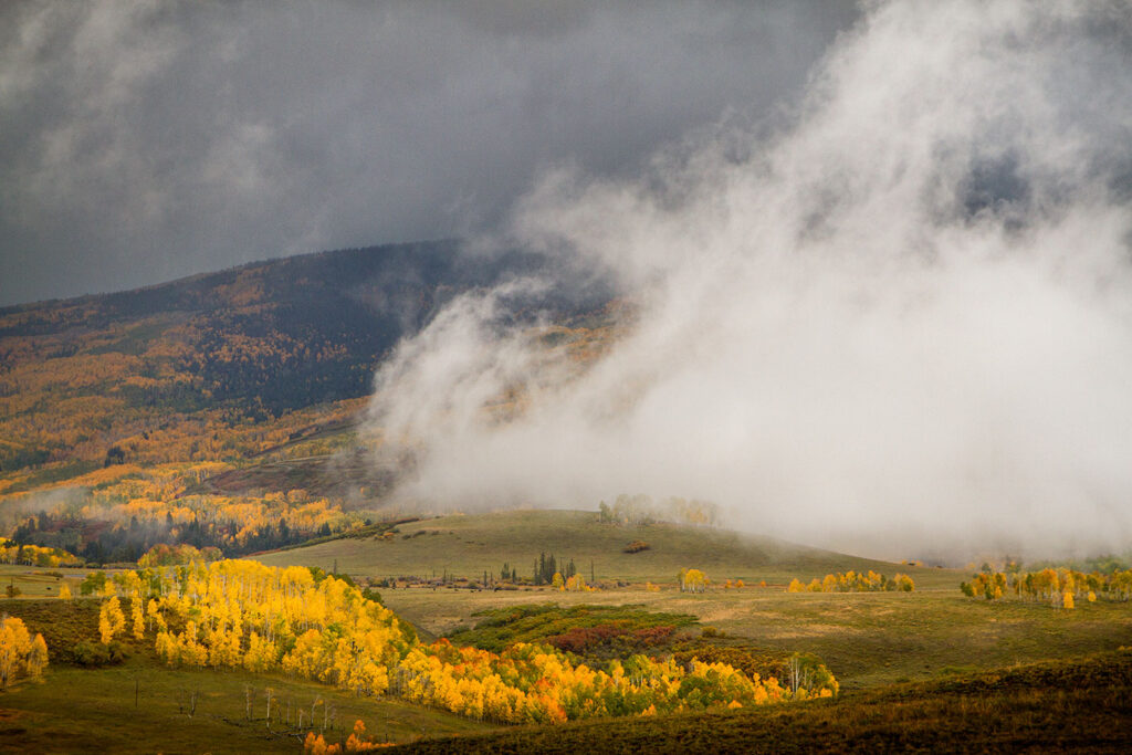 Fall colors Colorado